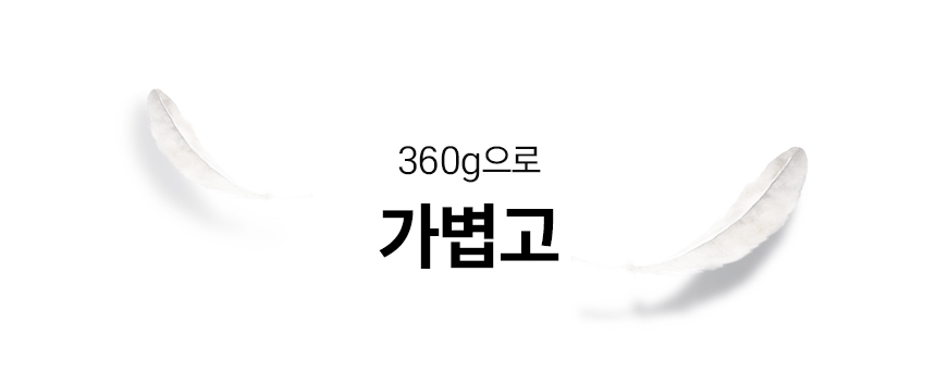 [윈세프] 음이온 저소음 BLDC 호텔 드라이어 세턴에어 WTH-S1.S2 상세 이미지 15